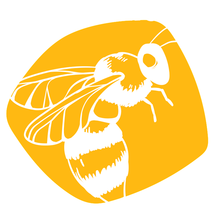 Strasbourg Guêpes