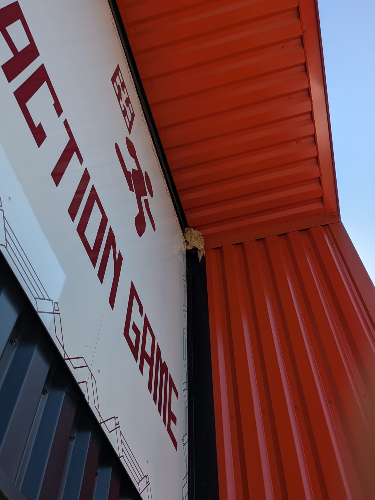 GUEPES FRELONS49 | Strasbourg Guêpes En images Hœnheim 47